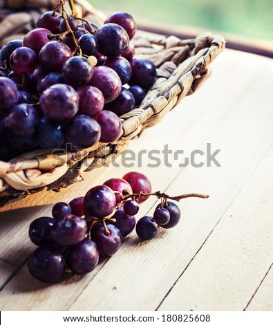 assortment of ripe sweet grapes in basket wooden background/Grapes in the basket/ Summer Wine Season
