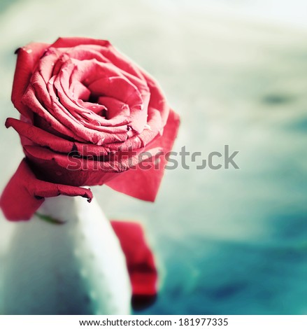 Holidays Vintage card with beautiful rose .Concept photograph for Valentines Day, Memorials and Weddings
