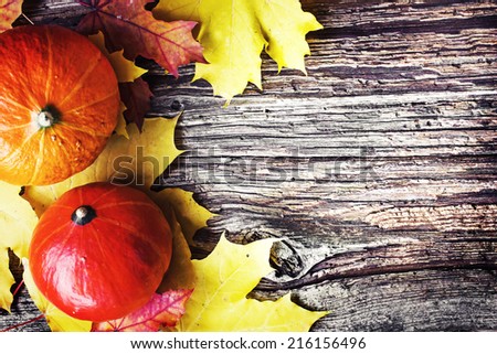 Autumn background with Pumpkins and autumn leaves/ thanksgiving background