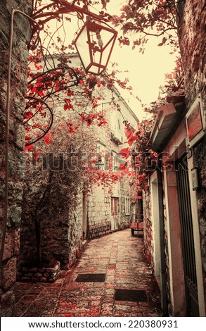 Old charming street/ Old town in Europe  with retro vintage effect