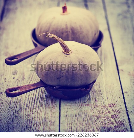 Autumn nature concept. Fall pumpkins on wooden rustic table. Thanksgiving dinner