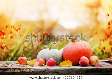 Autumn nature concept. Fall pumpkins and apples on wooden rustic table. Thanksgiving dinner