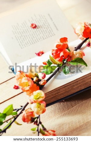 Spring Blossom over wood background. Spring Flowers with book on wooden background
