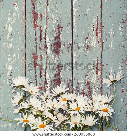 Summer background with field of daisy flowers/ Summer daisy flowers on vintage wooden background