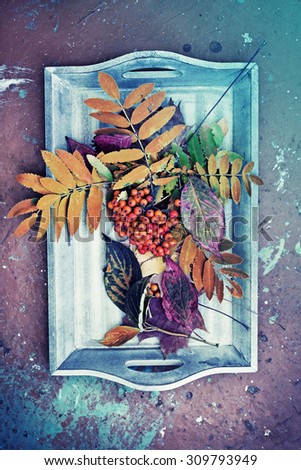 Autumn background/Autumn leaves and berry over wooden background/ Thanksgiving day concept