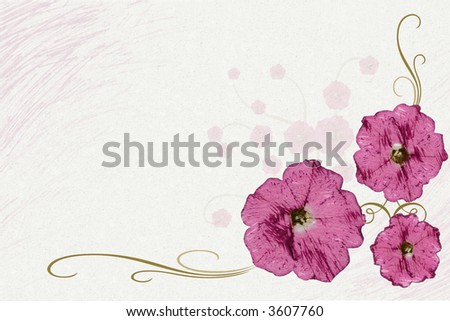 Mauve flowers with gold stems against a white and mauve background.