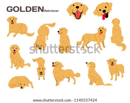 Bebe Of A Golden Retriever Line Stickers Line Store Golden Retriever Png Stunning Free Transparent Png Clipart Images Free Download