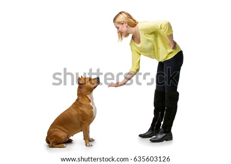 Similar – Image, Stock Photo Beautiful female amstaff, fighting dog