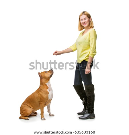 Similar – Image, Stock Photo Beautiful female amstaff, fighting dog