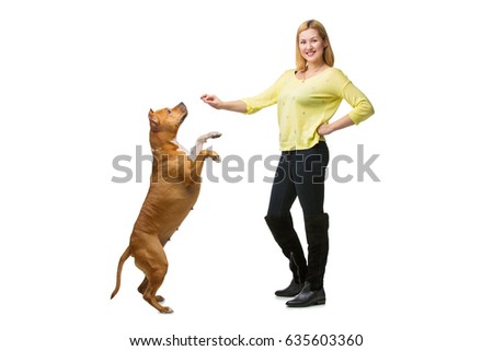 Similar – Image, Stock Photo Beautiful female amstaff, fighting dog