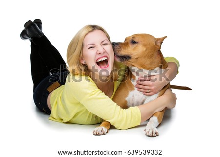 Similar – Image, Stock Photo Beautiful female amstaff, fighting dog