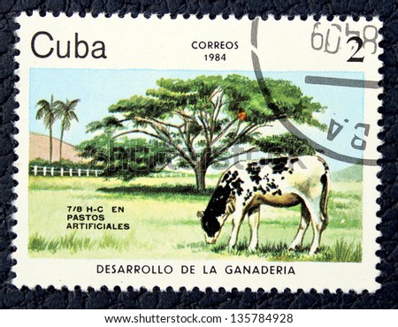 CUBA - CIRCA 1984: A stamp printed in the Cuba, shows a cow, circa 1984