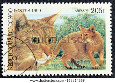 REPUBLIC OF CONGO - CIRCA 1999: A stamp printed in the Republic of Congo, shows the cat, circa 1999