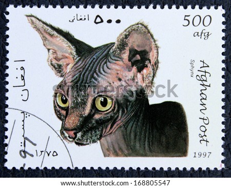 AFGHANISTAN - CIRCA 1997: A stamp printed in the Afghanistan, shows the cat, circa 1997