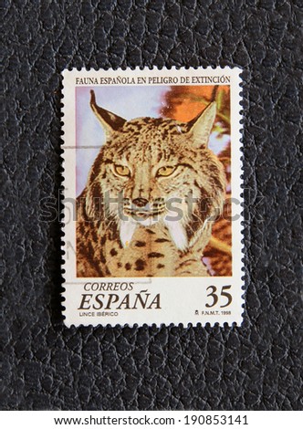 SPAIN - CIRCA 1998: A stamp printed in the Spain, shows predatory animal lynx, circa 1998