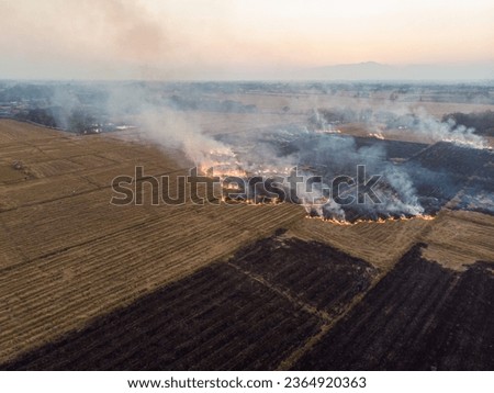 Similar – Image, Stock Photo Fire is burning. Green grass is all around. Wild summer night. Naked blonde girl on the ground. Sexy back and black lingerie. A sensual image is full of lust.