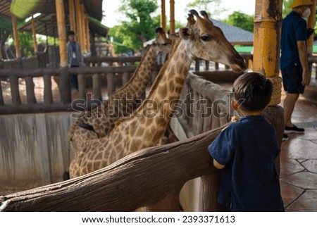 Similar – Image, Stock Photo City giraffes (5)