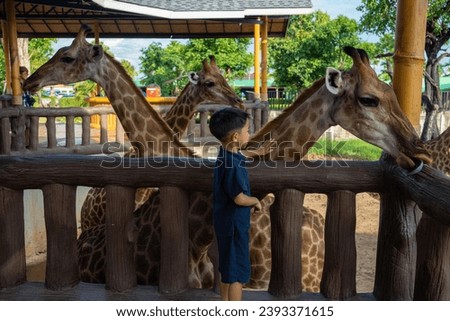 Similar – Image, Stock Photo City giraffes (5)