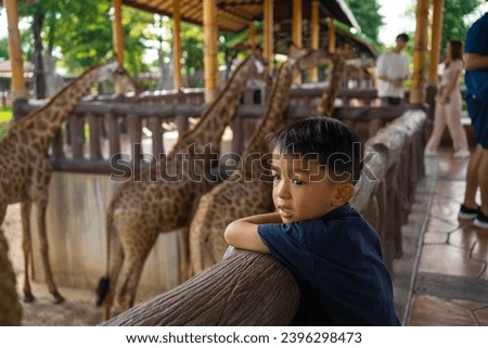 Similar – Image, Stock Photo City giraffes (5)