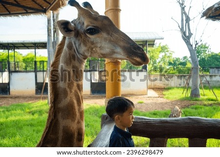 Similar – Image, Stock Photo City giraffes (5)