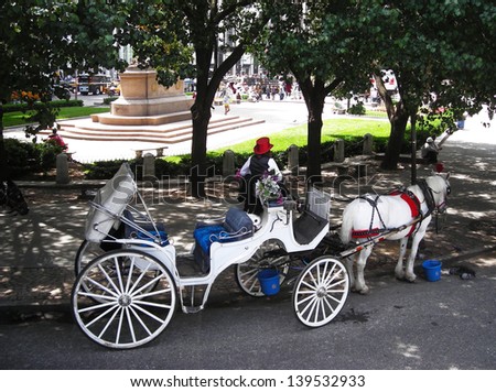 Horse-drawn carriage in Central Park.