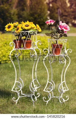 Decorative flower pots with sunflowers and roses stand out in summer.