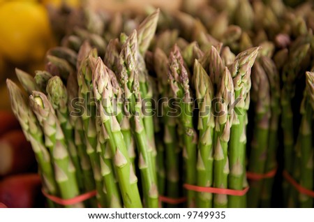 Asparagus in bunches at an open air market