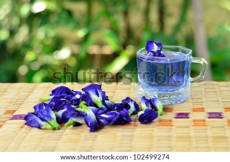 Violet flower as herb drink