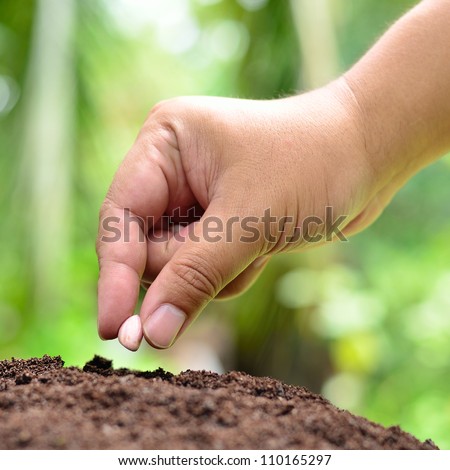 Similar – Foto Bild Erntehand mit Erdnüssen