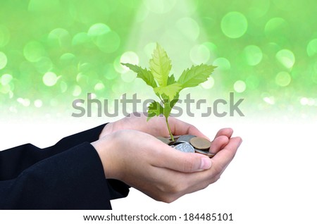Palms with a young tree growing from pile of money coins with green background as business success concept