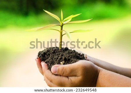 Plant, Tree, Sprout growing on child's hand over grass green background