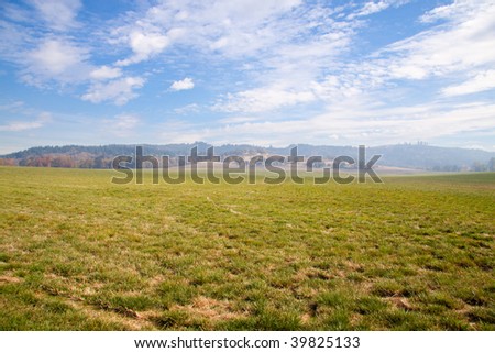 Grass and sky come together along the horizon in this landscape shot of a very large field.