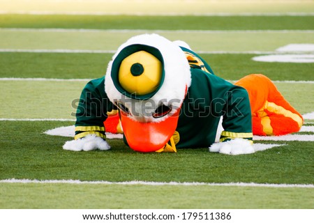 EUGENE, OR - OCTOBER 28, 2006: Oregon duck mascot Puddles doing pushups after each score during the UO vs PSU football game at Autzen Stadium.