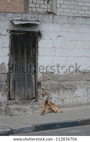 An old door in the wall of a building with a stray dog lying at the entrance in Cotacachi, Ecuador