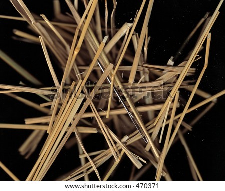 close up image of a needle in a haystack .... needle has a small spot of rust for authenticity of being outdoors and texture of hay is clear. shallow DOF.