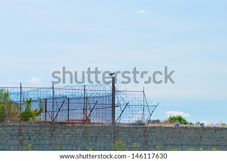 stone fence with barbed wire and  bird.