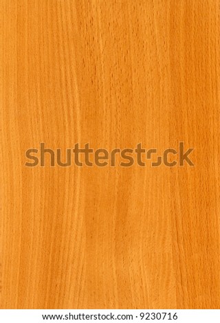 Close-up wooden HQ (Oriental Beech) texture to background