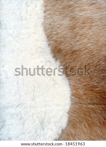 Brown and white fur texture to background