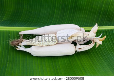 Dry corn on banana green leaf