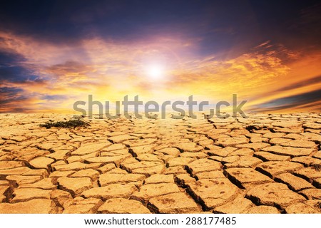 drought land under the sun