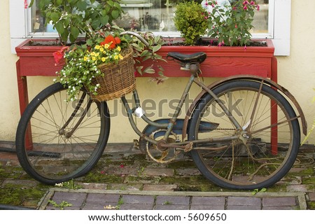 Old bicycle with flower basket