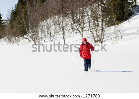 A skier on a wintery snow filled landscape.