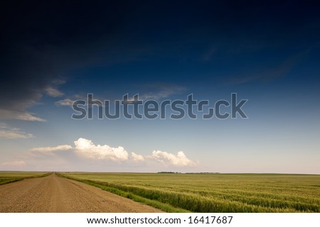 A road on a prairie landscape