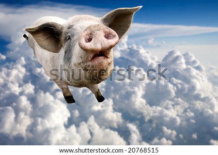 https://image.shutterstock.com/display_pic_with_logo/102/102,1227079652,1/stock-photo-a-pig-flying-through-the-clouds-in-the-sky-20768515.jpg