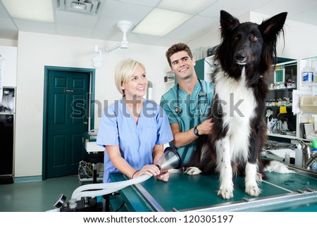 Two veterinarians preparing a dog for surgery.