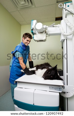 Male vet taking xray of large dog