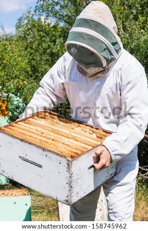 Male beekeeper in protective clothing carrying honeycomb crate at apiary