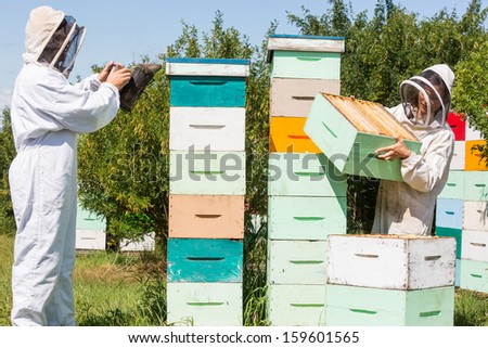 Beekeepers in protective clothing working at apiary