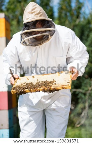 Beekeeper wearing protective clothing inspecting honeycomb frame on farm