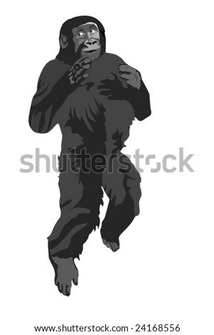 Gorilla Beating His Chest While Running Stock Vector Illustration ...